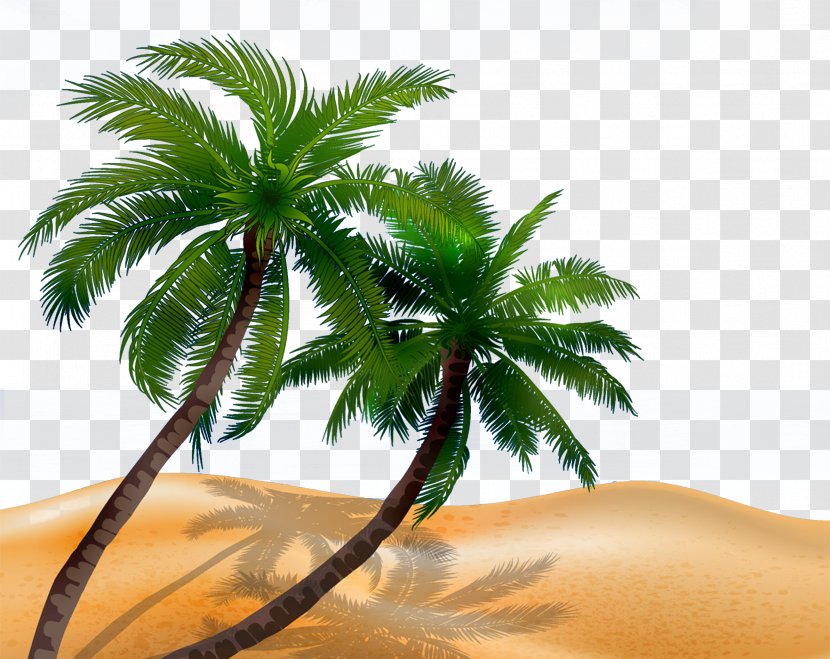 Arecaceae Tree Silhouette Illustration - Beach Coconut Transparent PNG