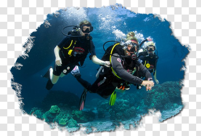 PADI Discover Scuba Diving Dry Suit Divemaster Underwater - Padi Transparent PNG
