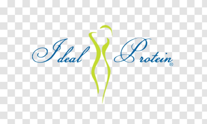 Logo Brand Font Product Design Protein - Calculation Of Ideal Weight Transparent PNG