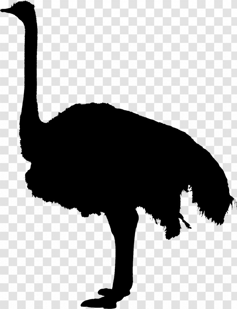 Clip Art Fauna Silhouette Beak - Greater Rhea - Ostrich Transparent PNG