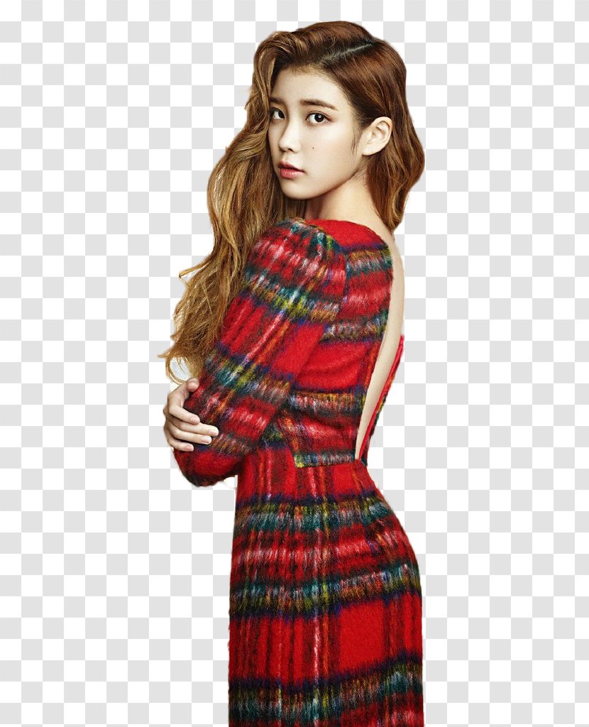 IU South Korea Car Celebrity Korean - Brown Hair Transparent PNG