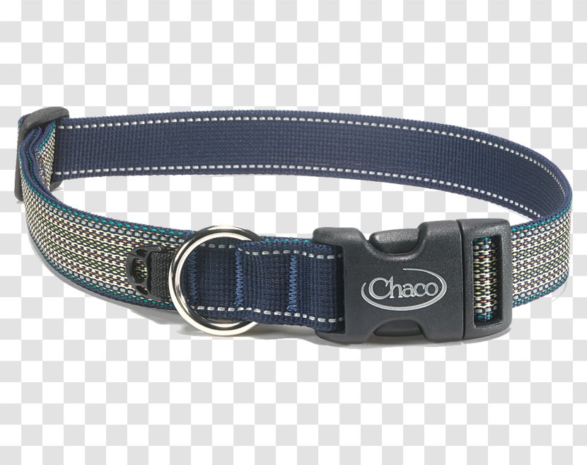 Dog Collar Leash Chaco Transparent PNG