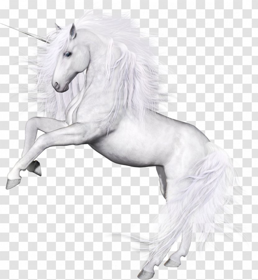 Unicorn Horse Pegasus Clip Art - Mouse Mats - The Exempts Transparent PNG