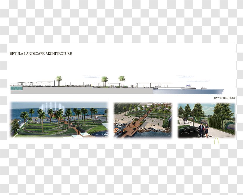 Urban Design Land Lot Real Property - Panorama Transparent PNG