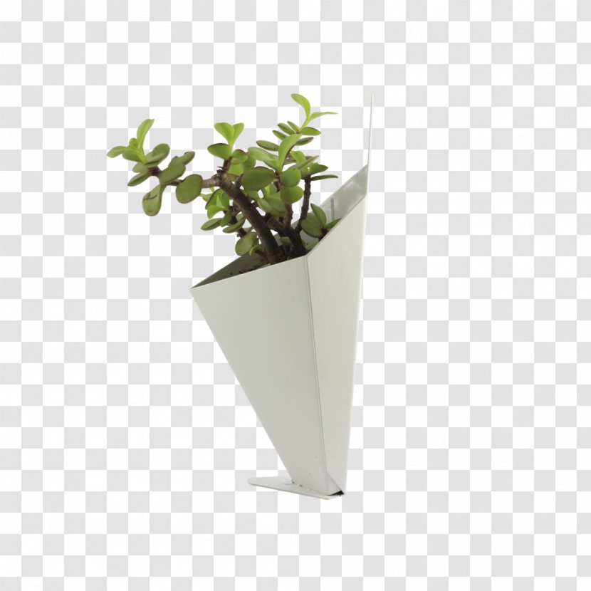 Flowerpot Wall Houseplant - Vase - Table Decoration Transparent PNG