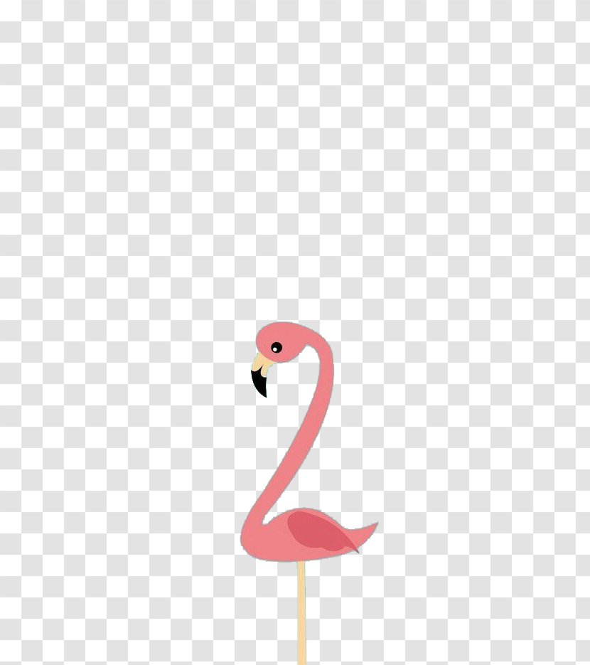 Flamingo Cartoon Bird Illustration - Beak - Toon Transparent PNG