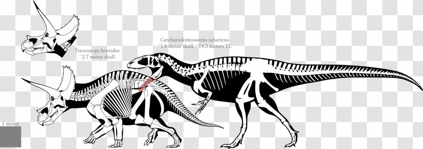 Tyrannosaurus Carcharodontosaurus Triceratops Giganotosaurus Torosaurus - Einiosaurus - Dinosaur Transparent PNG