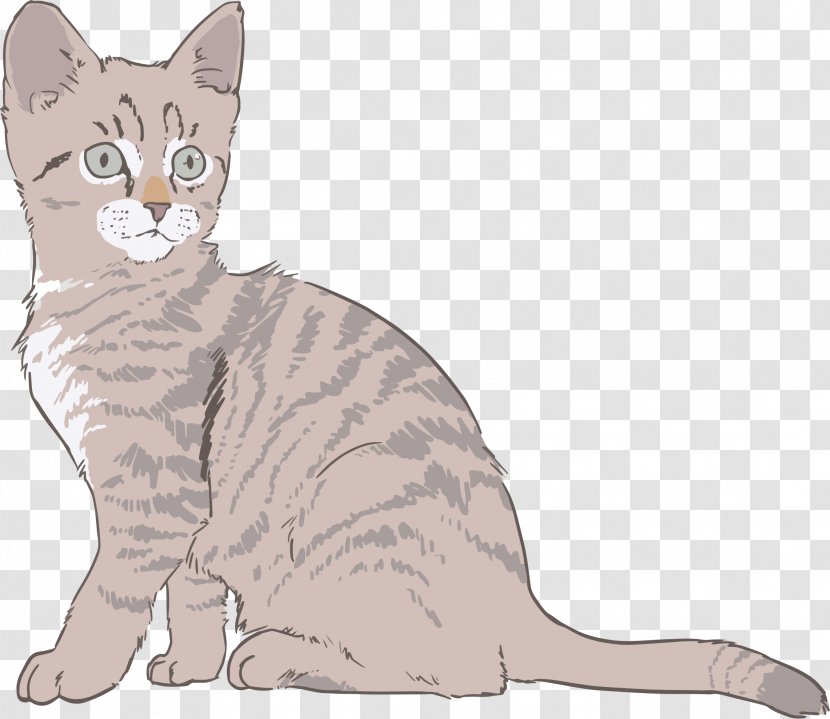 Kitten Sphynx Cat Drawing Clip Art - Claw Transparent PNG