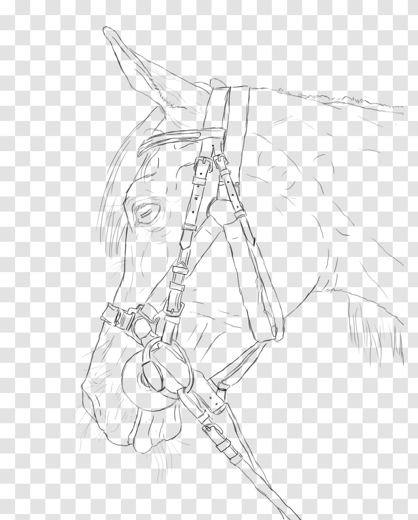 Drawing Line Art Sketch - Visual Arts - Arabian Horse Head Transparent PNG