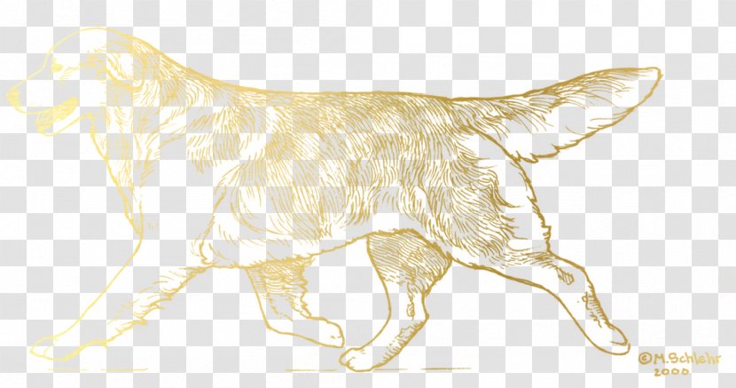 Dog Breed Lion Cat Sketch - Golden Retriever Transparent PNG