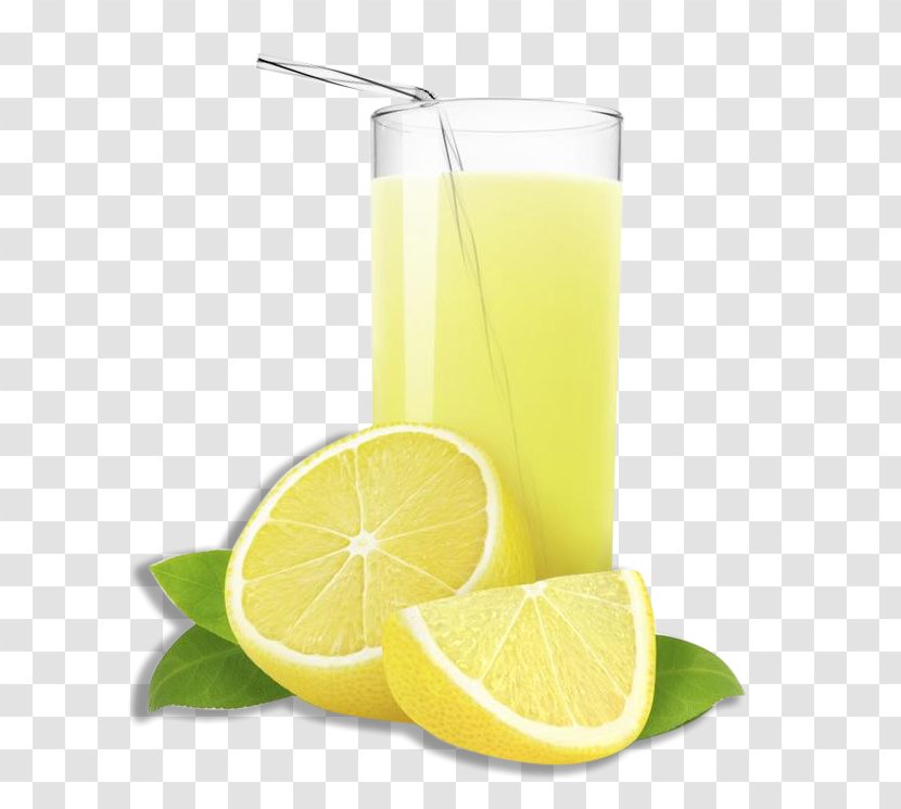 Juice Lemonade Fizzy Drinks Bubble Tea - Lemon Lime Transparent PNG