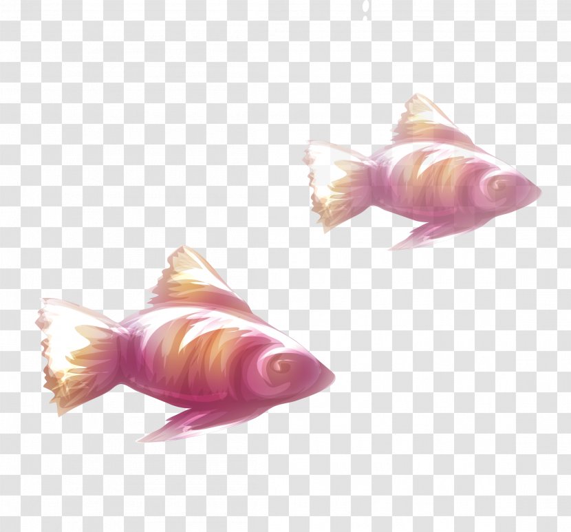 Fish Euclidean Vector Computer File Transparent PNG