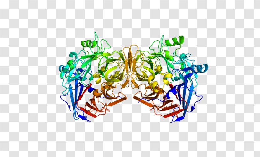 RPE65 Retinal Pigment Epithelium Visual Phototransduction Voretigene Neparvovec - Tree - Frame Transparent PNG