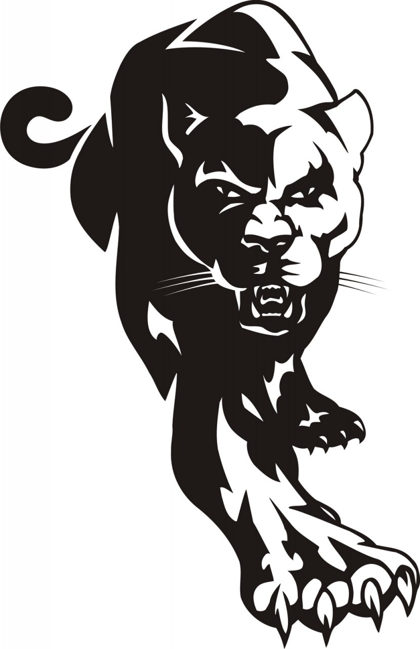 North Lincoln Middle School Student E A Cox Cougar High - Artwork - Panther Head Cliparts Transparent PNG