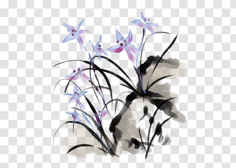 Drawing Of Family - Wildflower - Bellflower Orchid Transparent PNG