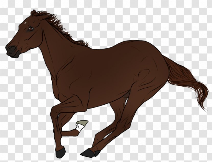 Mane Mustang Stallion Pony Colt - Fictional Character Transparent PNG