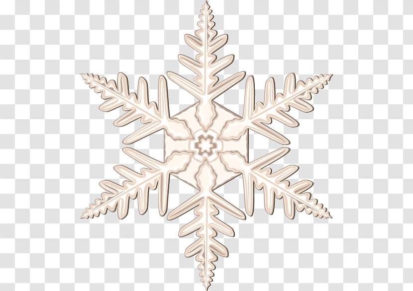 Snowflake Euclidean Vector - Snow - Christmas Petals Transparent PNG