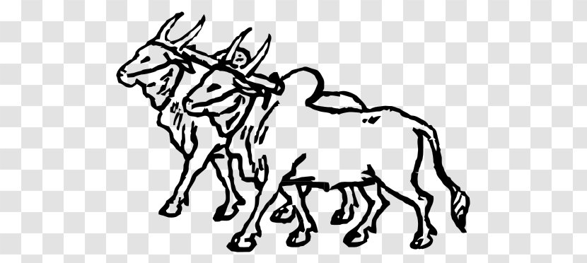 Ox Cattle Mule Clip Art - Deer - Horn Transparent PNG