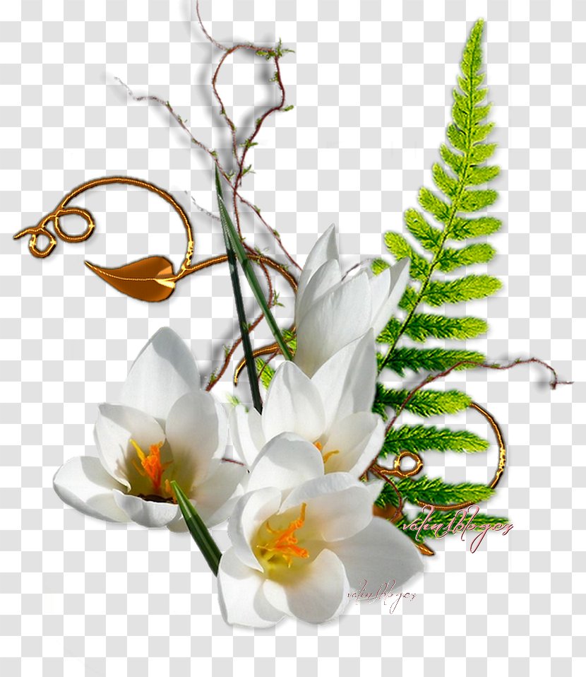 Floral Design Flower Bouquet Cut Flowers Artificial - Web Browser Transparent PNG