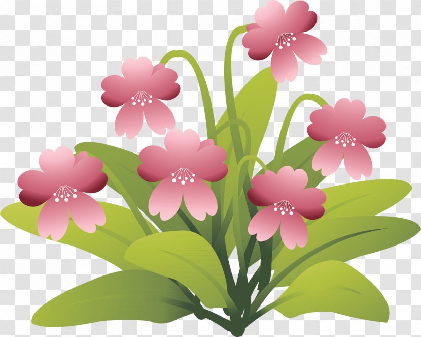 Design - Petal - Flower Arranging Transparent PNG