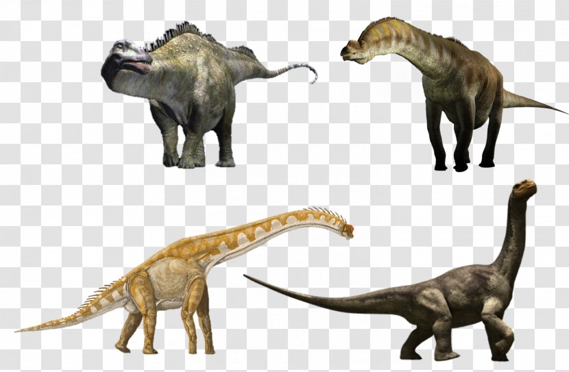 Giraffatitan Brachiosaurus Morrison Formation Tendaguru Giraffe - Sauroposeidon - Dinosaur Transparent PNG