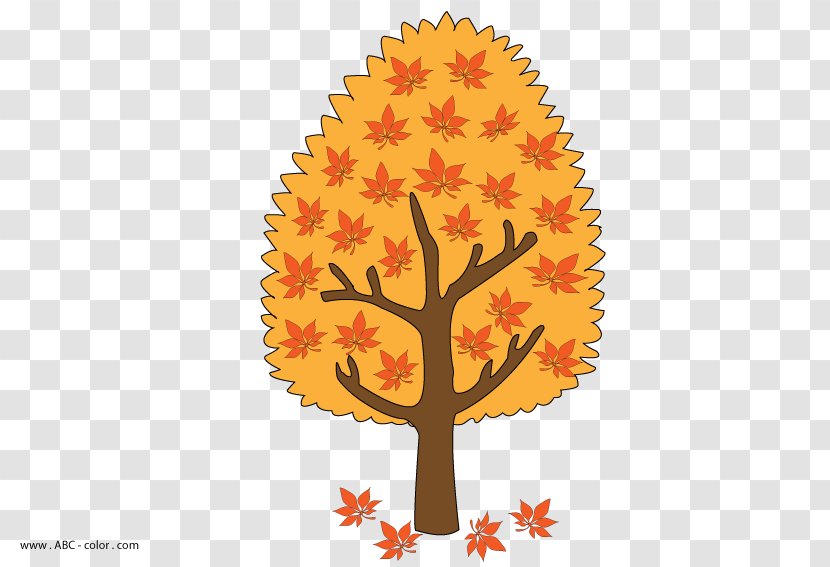 Sweet Chestnut Tree Autumn Drawing Raster Graphics Transparent PNG