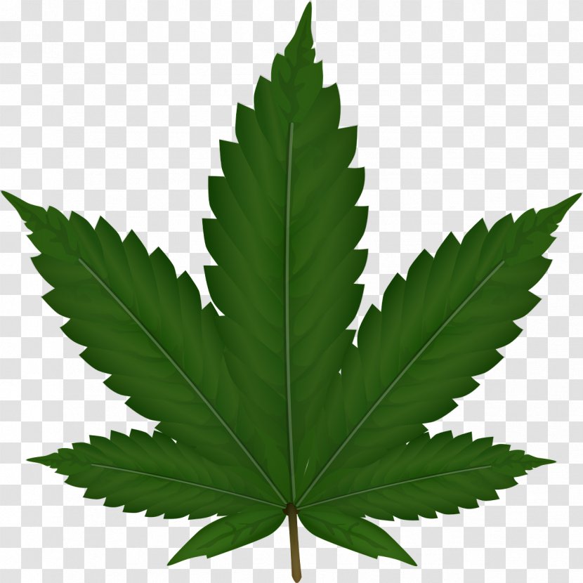 Medical Cannabis Smoking - Plant Transparent PNG