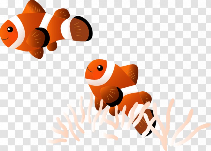 Tropical Fish Goldfish Aquariums - Drawing Transparent PNG