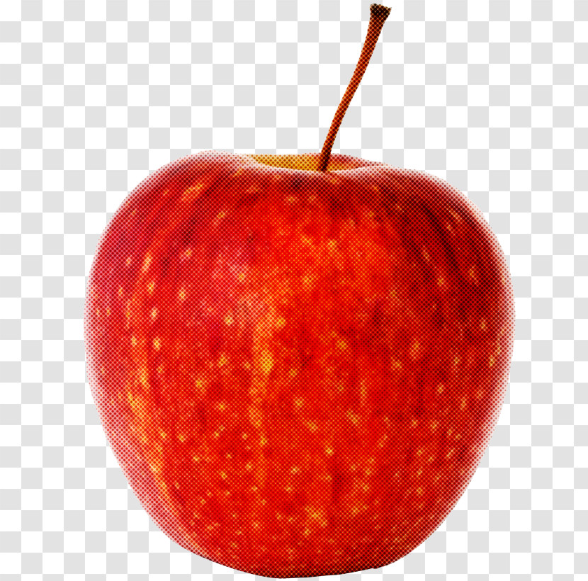 Fruit Red Apple Plant Food Transparent PNG