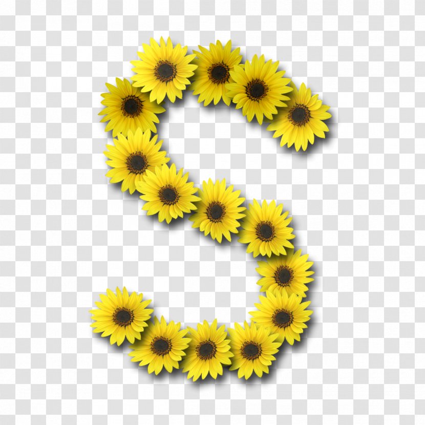 Letter Alphabet Common Sunflower Transparent PNG