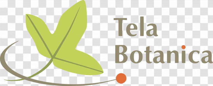 Tela Botanica Hérault Botany Botanist Nature - Organism Transparent PNG