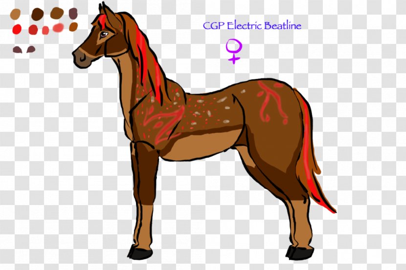 Mule Foal Stallion Mare Mustang Transparent PNG