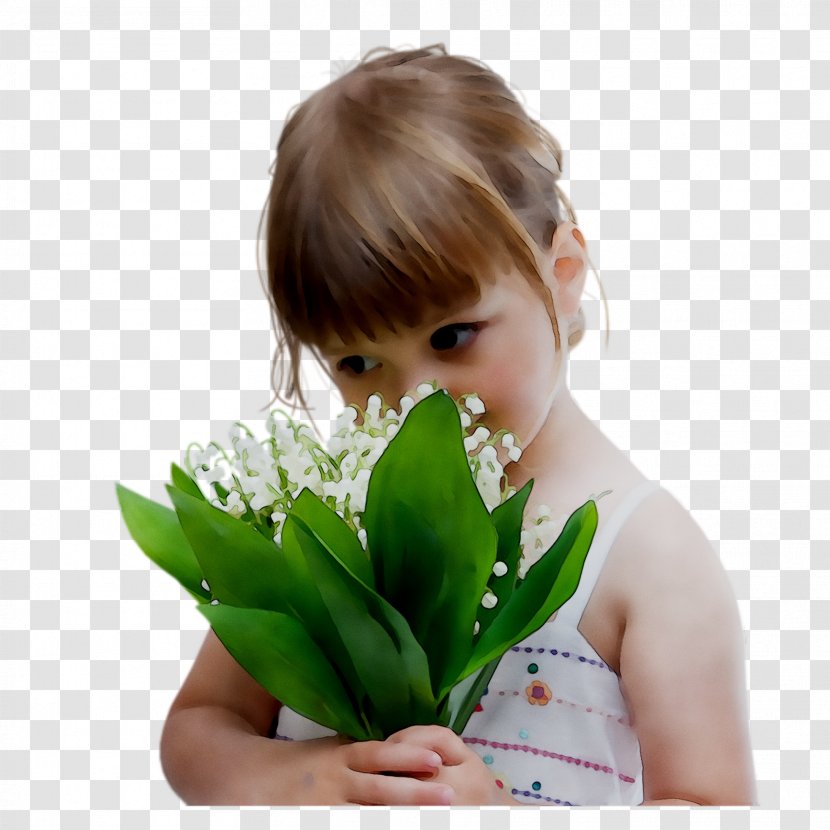 Flower Olfaction Facebook Leaf - Plant Transparent PNG