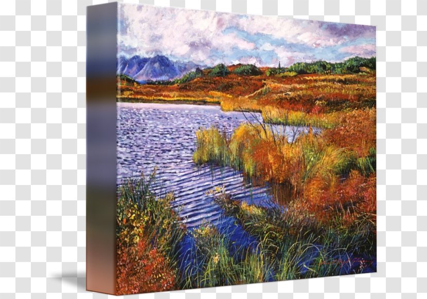 Painting Acrylic Paint Bog Ecoregion - Grass Transparent PNG