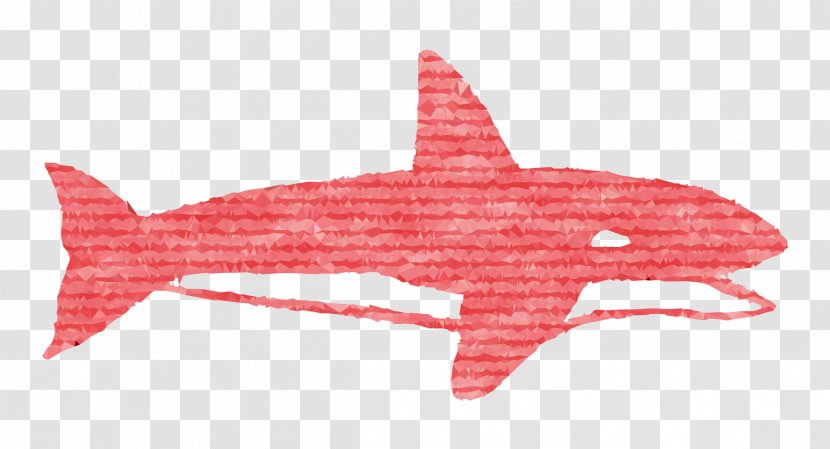 Requiem Sharks Marine Biology Mammal - Whale Shark - Cartilaginous Fish Transparent PNG