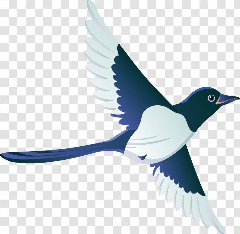 Bird Drawing Clip Art - Fauna - Birds Transparent PNG