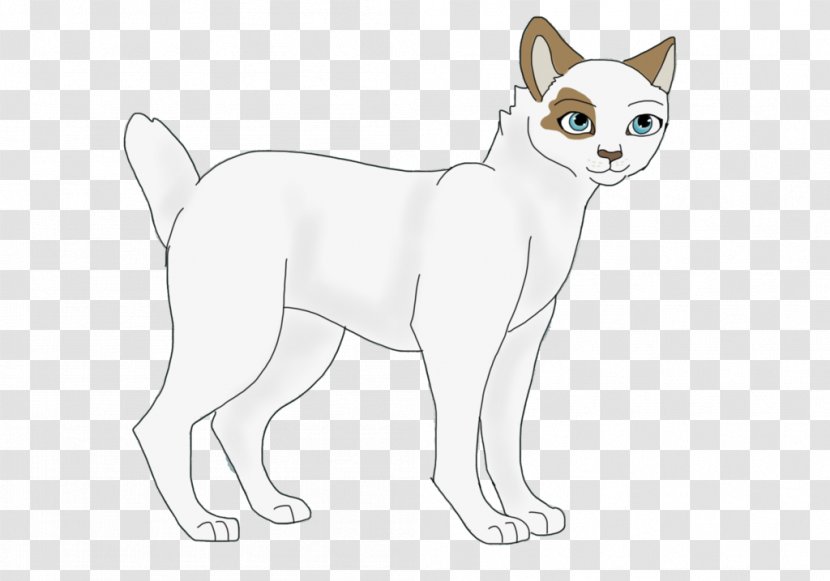 Whiskers Dog Breed Cat Snout - Fox - Japanese Bobtail Transparent PNG