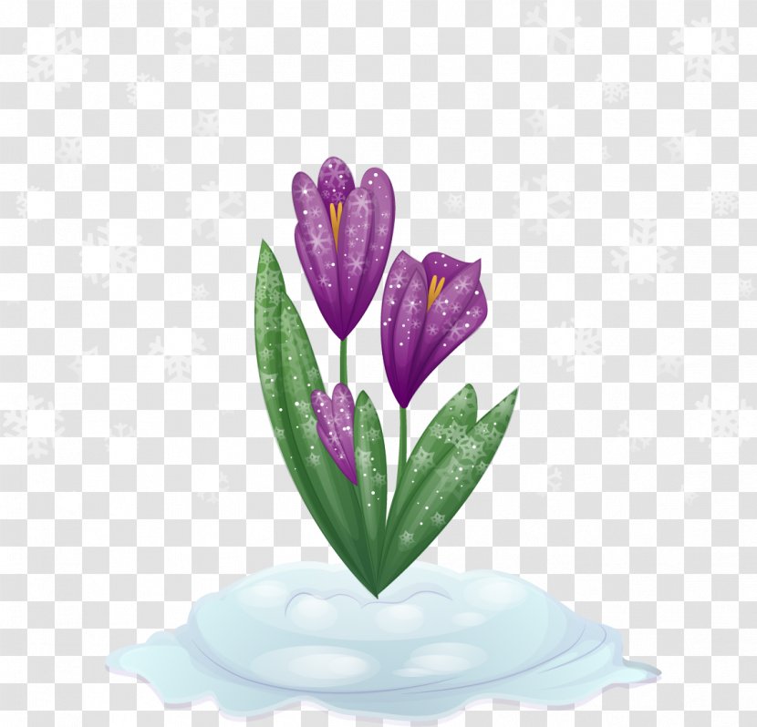 Purple Tulip Flower - Snow Alone Put Tulips Transparent PNG