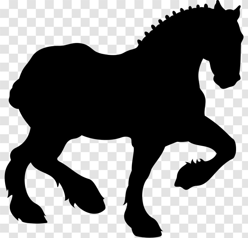 Mustang Stallion Mare Colt Halter - Blackandwhite - Yonni Meyer Transparent PNG