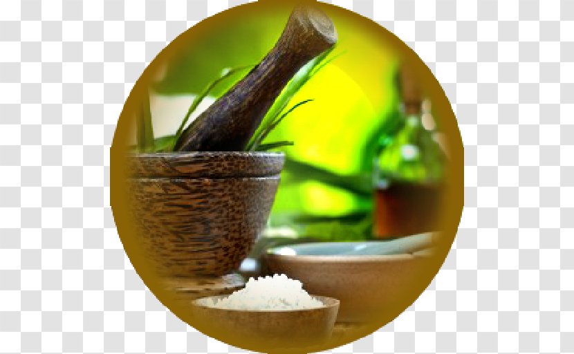 Ayurveda Medicine Panchakarma Health - Herbal Transparent PNG