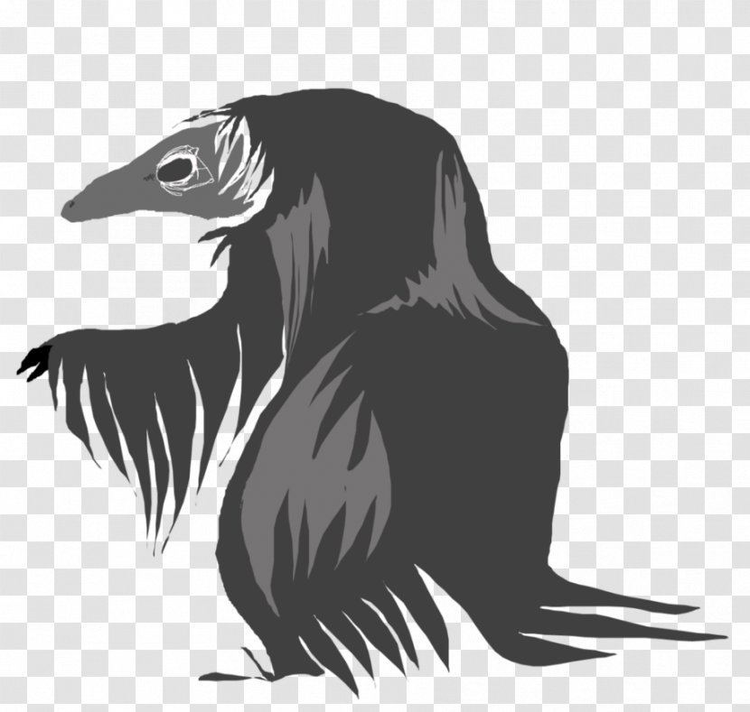 Beak Bird Of Prey Illustration Carnivores Transparent PNG