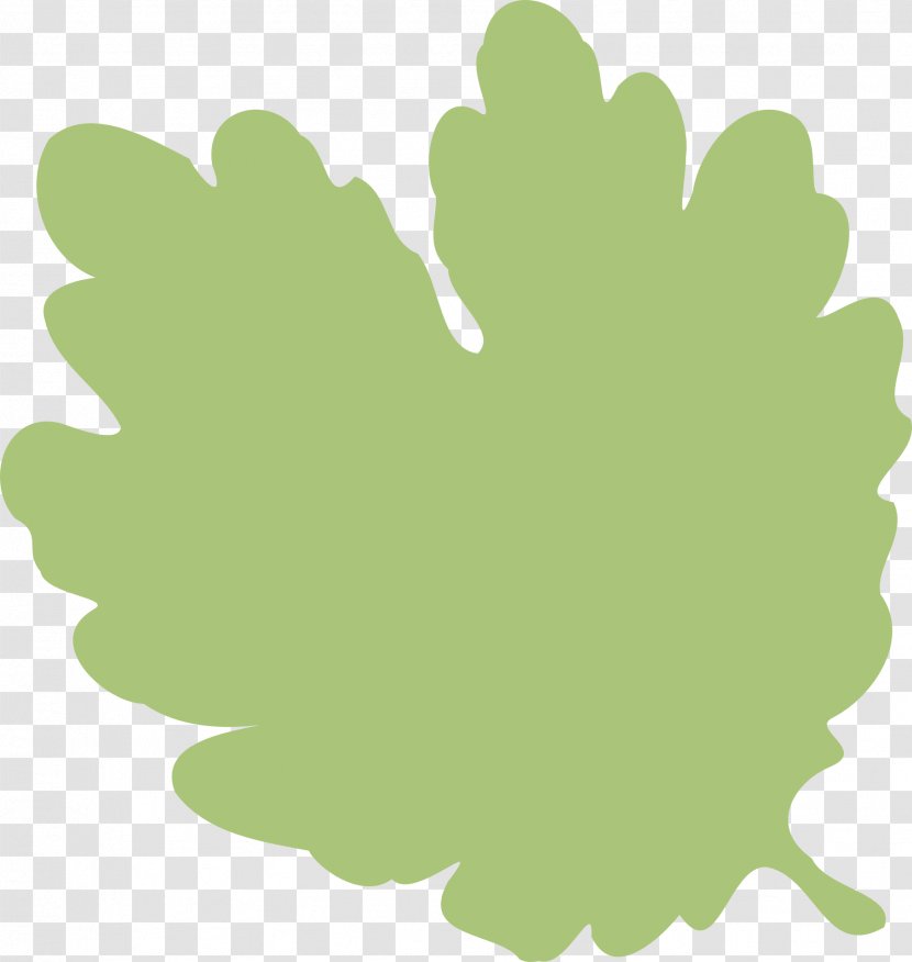 Leaf Shape Clip Art - Autumn Color - Greenery Transparent PNG