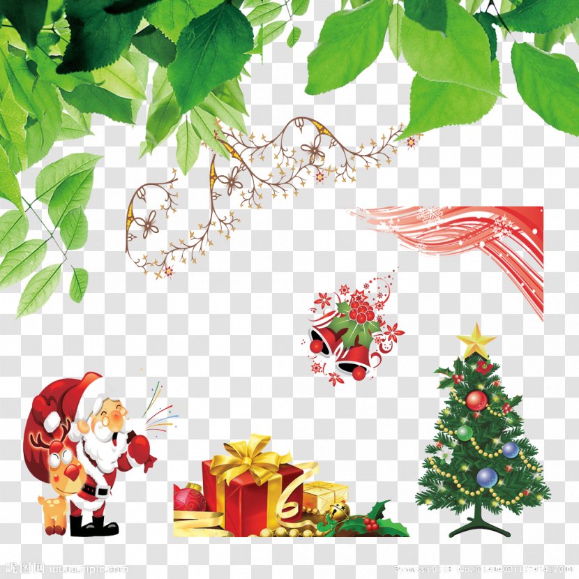 Christmas Tree Ornament Gift Leaf - Conifer - Free Creative Pull Transparent PNG