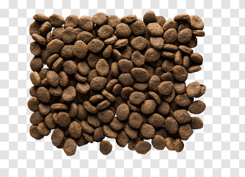 Jamaican Blue Mountain Coffee Cubeb Allspice Commodity Seed - Semen Analysis Microscope Transparent PNG