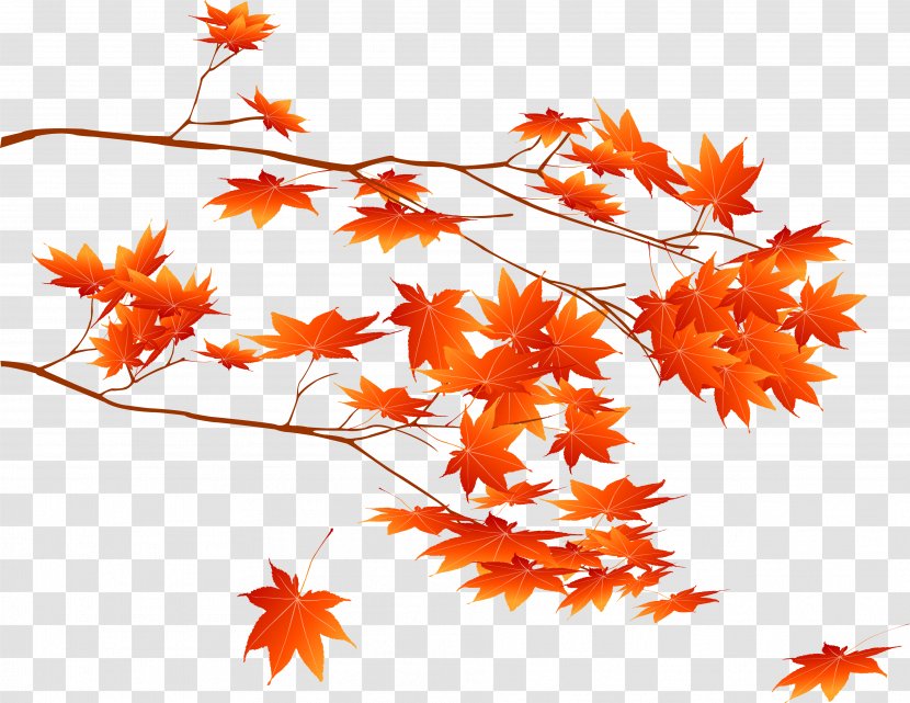 Download Clip Art - Leaf - Autumn Branches Transparent PNG