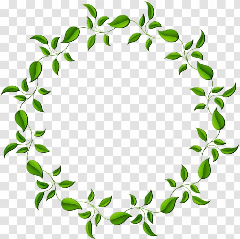 Green Leaf Background - Sustainability - Ivy Family Transparent PNG