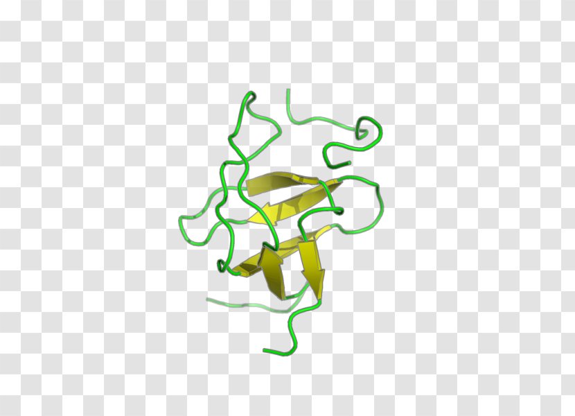 Frog Clip Art - Logo Transparent PNG