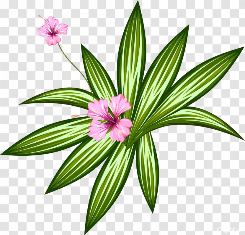 Flower Clip Art - Plant - Pretty Flowers Transparent PNG