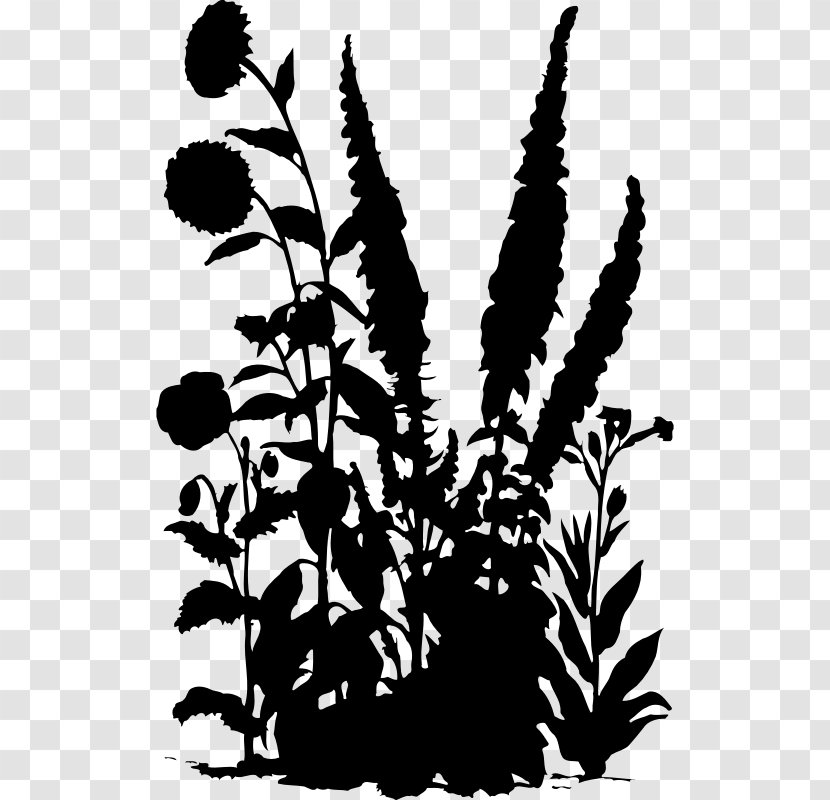 Silhouette Drawing - Plant - Floral Pictures Transparent PNG