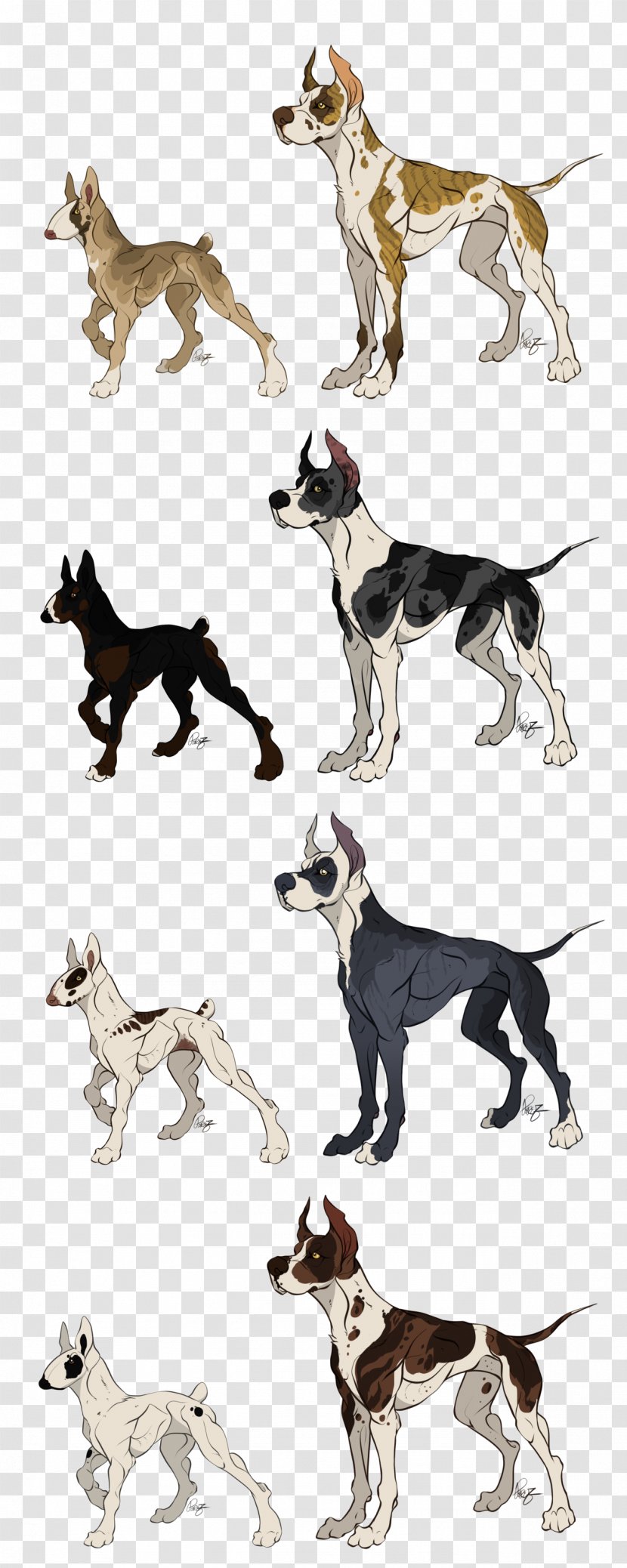 Dog Breed Whippet Crossbreed 08626 - Tail Transparent PNG